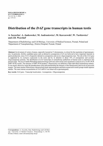 Distribution of the DAZ gene transcripts in human testis.